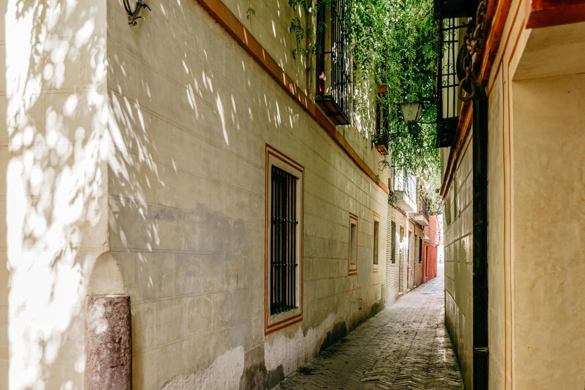 Avanti Santa Cruz, A 500m De Catedral, Puro Confort * Siviglia